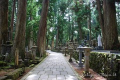 Koyasan